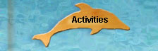 Activities